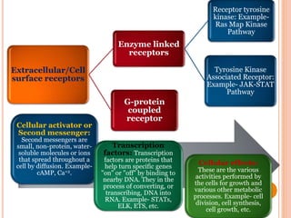 Extracellular/Cell
surface receptors
Enzyme linked
receptors
Receptor tyrosine
kinase: Example-
Ras Map Kinase
Pathway
Tyrosine Kinase
Associated Receptor:
Example- JAK-STAT
Pathway
G-protein
coupled
receptor
Cellular activator or
Second messenger:
Second messengers are
small, non-protein, water-
soluble molecules or ions
that spread throughout a
cell by diffusion. Example-
cAMP, Ca+2.
Transcription
factors: Transcription
factors are proteins that
help turn specific genes
"on" or "off" by binding to
nearby DNA. They in the
process of converting, or
transcribing, DNA into
RNA. Example- STATs,
ELK, ETS, etc.
Cellular effects:
These are the various
activities performed by
the cells for growth and
various other metabolic
processes. Example- cell
division, cell synthesis,
cell growth, etc.
 