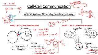 Comprehensive Overview of Cell-Cell Communication and Signal ...