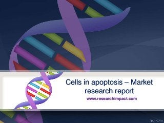 Cells in apoptosis – Market
research report
www.researchimpact.com
 