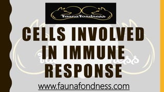 CELLS INVOLVED
IN IMMUNE
RESPONSE
www.faunafondness.com
 