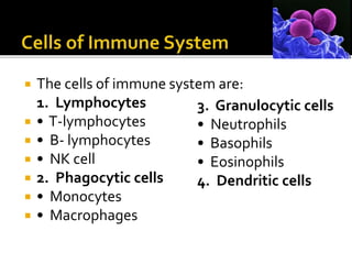  The cells of immune system are:
1. Lymphocytes
 • T-lymphocytes
 • B- lymphocytes
 • NK cell
 2. Phagocytic cells
 • Monocytes
 • Macrophages
3. Granulocytic cells
• Neutrophils
• Basophils
• Eosinophils
4. Dendritic cells
 