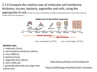 2.1.4 Compare the relative sizes of molecules cell membrane
thickness, viruses, bacteria, organelles and cells, using the
appropriate SI unit (L3 Give an account of similarities and differences between two (or more) items, referring
to both (all) of them throughout.)




 Relative sizes:
 1. molecules (1nm).
 2. cell membrane thickness (10nm).
 3. virus (100nm).
 4. bacteria (1um).
 5. organelles (less 10um).
 6. cells (<100 um).                                           http://www.cellsalive.com/howbig.htm
 7. generally plant cells are larger than
 animal cells.                                          http://click4biology.info/c4b/2/cell2.1.htm#size
 