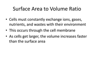 Surface Area to Volume Ratio
• Cells must constantly exchange ions, gases,
nutrients, and wastes with their environment
• This occurs through the cell membrane
• As cells get larger, the volume increases faster
than the surface area
 