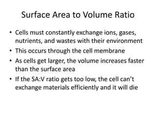 Surface Area to Volume Ratio
• Cells must constantly exchange ions, gases,
nutrients, and wastes with their environment
• This occurs through the cell membrane
• As cells get larger, the volume increases faster
than the surface area
• If the SA:V ratio gets too low, the cell can’t
exchange materials efficiently and it will die
 