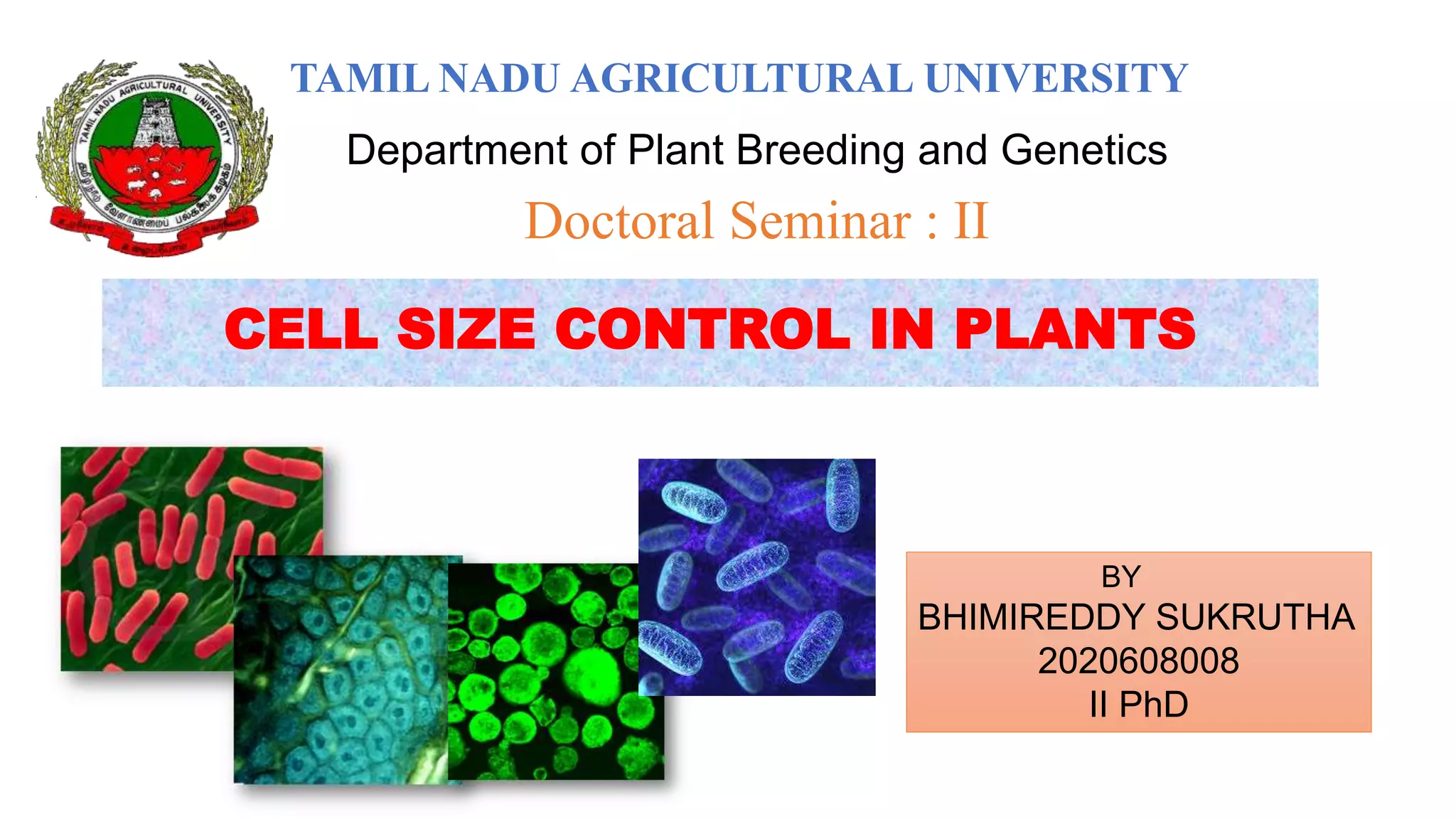 CELL SIZE CONTROL IN PLANTS
TAMIL NADU AGRICULTURAL UNIVERSITY
Doctoral Seminar : II
BY
BHIMIREDDY SUKRUTHA
2020608008
II PhD
Department of Plant Breeding and Genetics
 