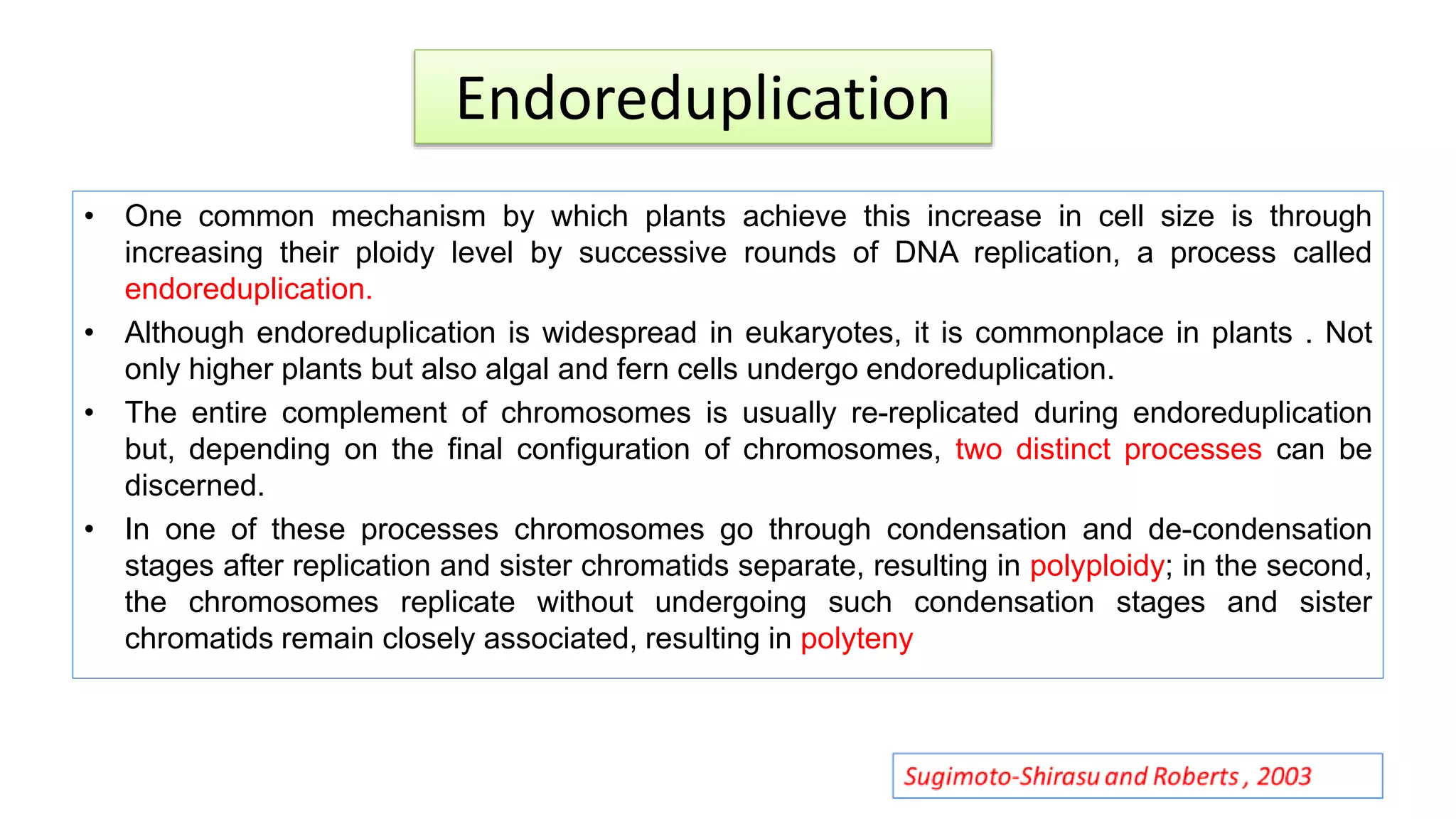 Endoreduplication
• One common mechanism by which plants achieve this increase in cell size is through
increasing their ploidy level by successive rounds of DNA replication, a process called
endoreduplication.
• Although endoreduplication is widespread in eukaryotes, it is commonplace in plants . Not
only higher plants but also algal and fern cells undergo endoreduplication.
• The entire complement of chromosomes is usually re-replicated during endoreduplication
but, depending on the final configuration of chromosomes, two distinct processes can be
discerned.
• In one of these processes chromosomes go through condensation and de-condensation
stages after replication and sister chromatids separate, resulting in polyploidy; in the second,
the chromosomes replicate without undergoing such condensation stages and sister
chromatids remain closely associated, resulting in polyteny
 