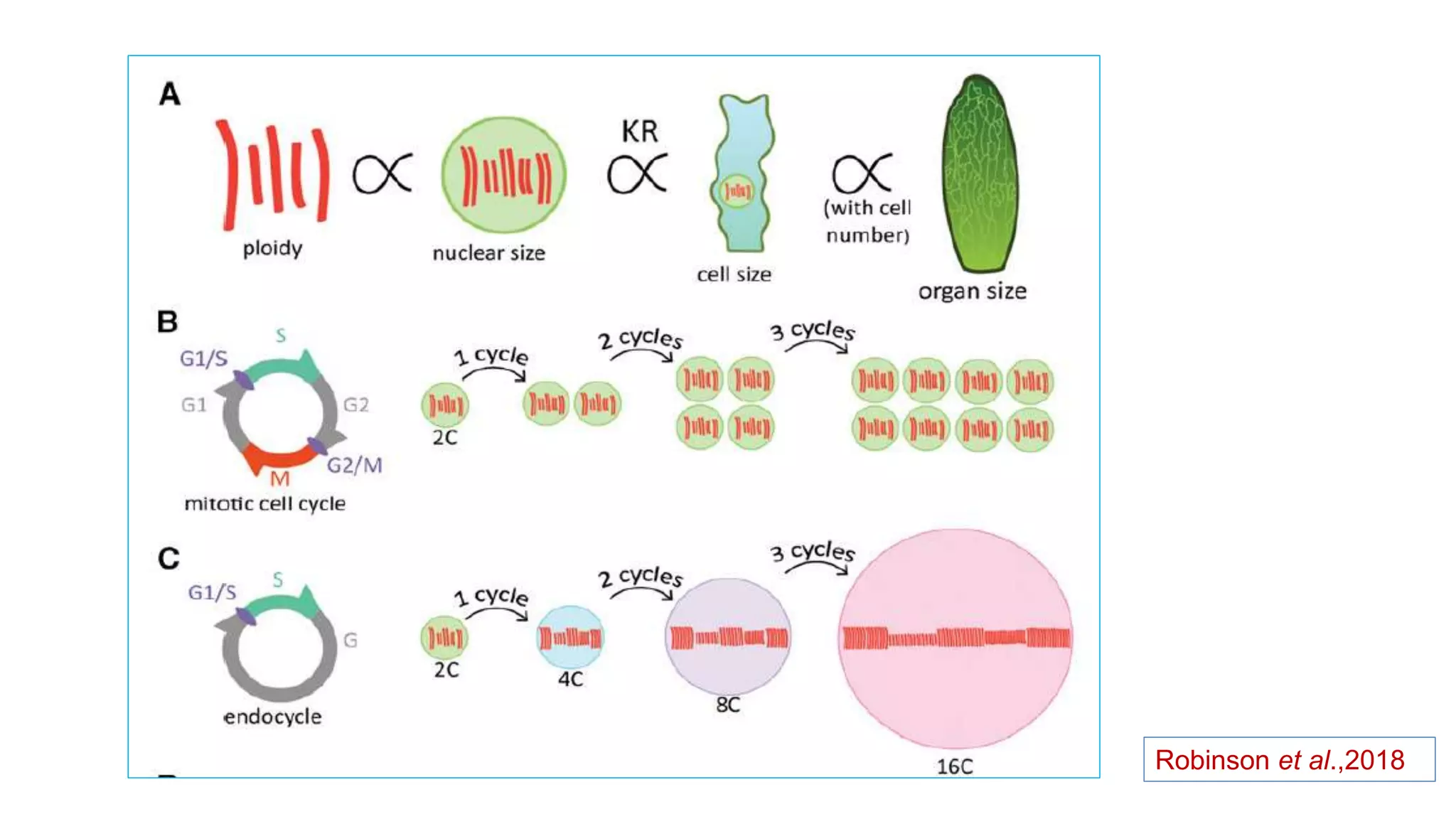 Robinson et al.,2018
 