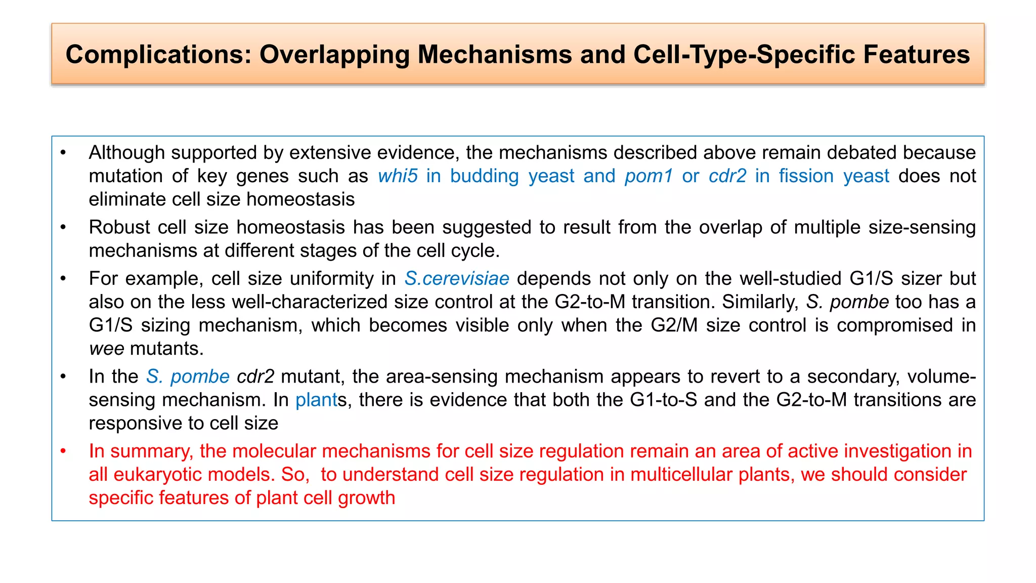 Complications: Overlapping Mechanisms and Cell-Type-Specific Features
• Although supported by extensive evidence, the mechanisms described above remain debated because
mutation of key genes such as whi5 in budding yeast and pom1 or cdr2 in fission yeast does not
eliminate cell size homeostasis
• Robust cell size homeostasis has been suggested to result from the overlap of multiple size-sensing
mechanisms at different stages of the cell cycle.
• For example, cell size uniformity in S.cerevisiae depends not only on the well-studied G1/S sizer but
also on the less well-characterized size control at the G2-to-M transition. Similarly, S. pombe too has a
G1/S sizing mechanism, which becomes visible only when the G2/M size control is compromised in
wee mutants.
• In the S. pombe cdr2 mutant, the area-sensing mechanism appears to revert to a secondary, volume-
sensing mechanism. In plants, there is evidence that both the G1-to-S and the G2-to-M transitions are
responsive to cell size
• In summary, the molecular mechanisms for cell size regulation remain an area of active investigation in
all eukaryotic models. So, to understand cell size regulation in multicellular plants, we should consider
specific features of plant cell growth
 