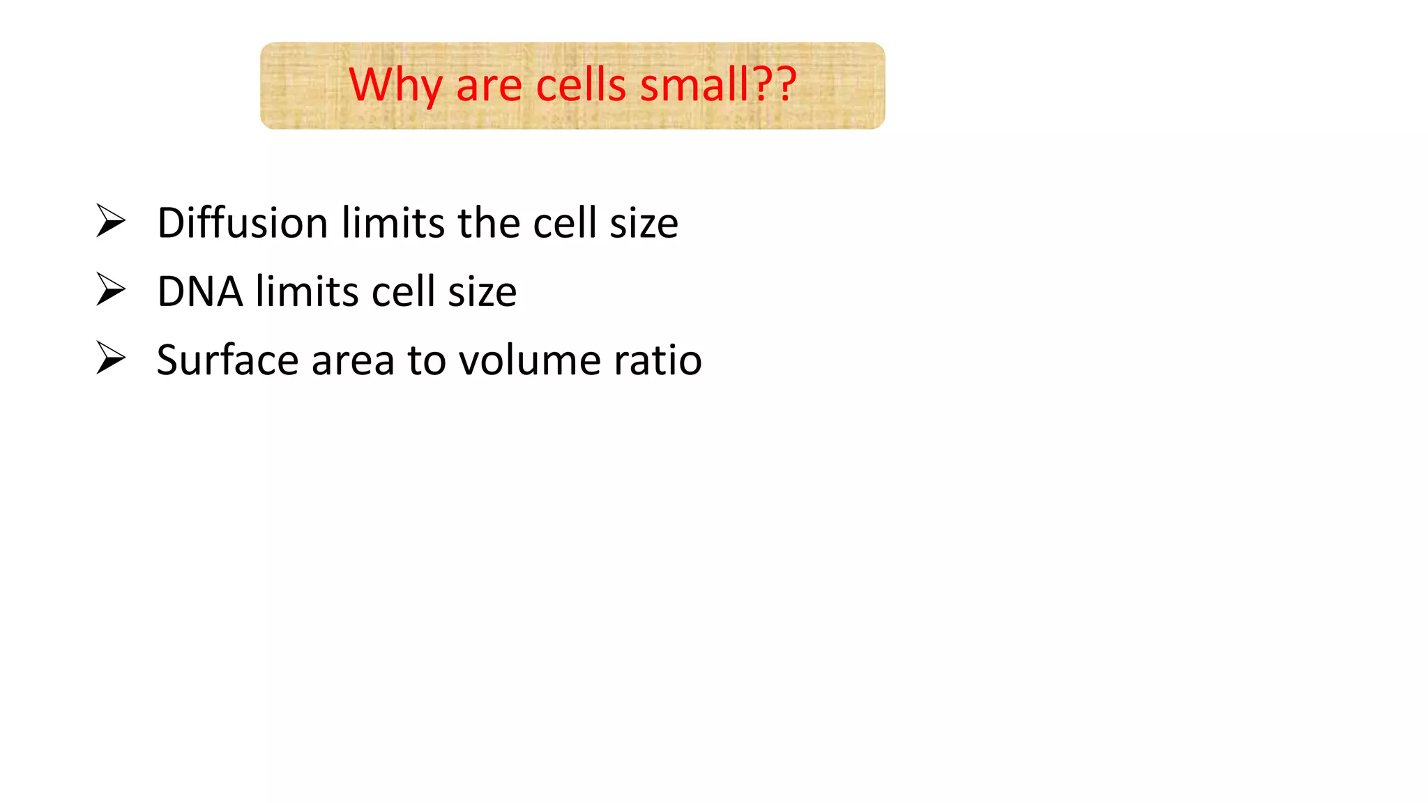  Diffusion limits the cell size
 DNA limits cell size
 Surface area to volume ratio
Why are cells small??
 