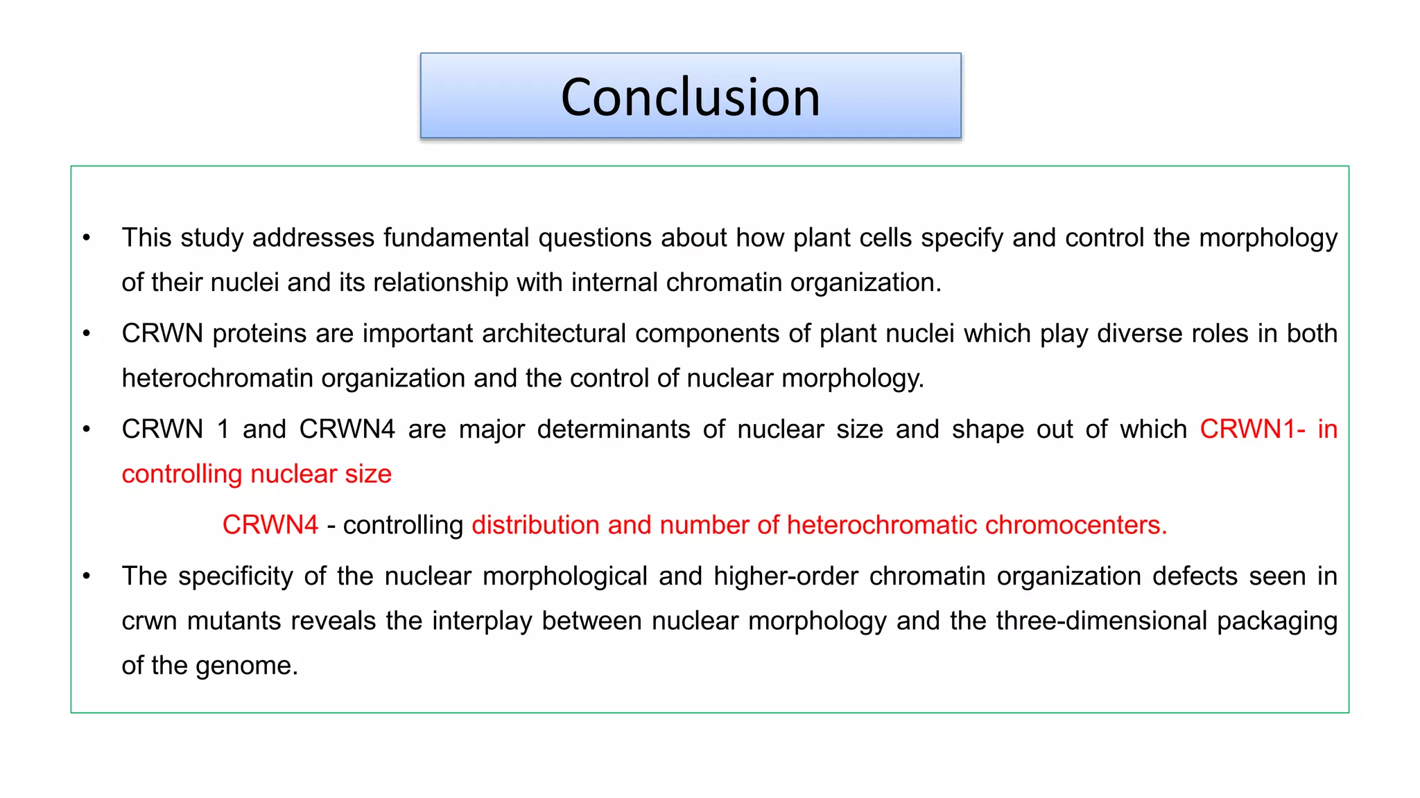 Conclusion
• This study addresses fundamental questions about how plant cells specify and control the morphology
of their nuclei and its relationship with internal chromatin organization.
• CRWN proteins are important architectural components of plant nuclei which play diverse roles in both
heterochromatin organization and the control of nuclear morphology.
• CRWN 1 and CRWN4 are major determinants of nuclear size and shape out of which CRWN1- in
controlling nuclear size
CRWN4 - controlling distribution and number of heterochromatic chromocenters.
• The specificity of the nuclear morphological and higher-order chromatin organization defects seen in
crwn mutants reveals the interplay between nuclear morphology and the three-dimensional packaging
of the genome.
 