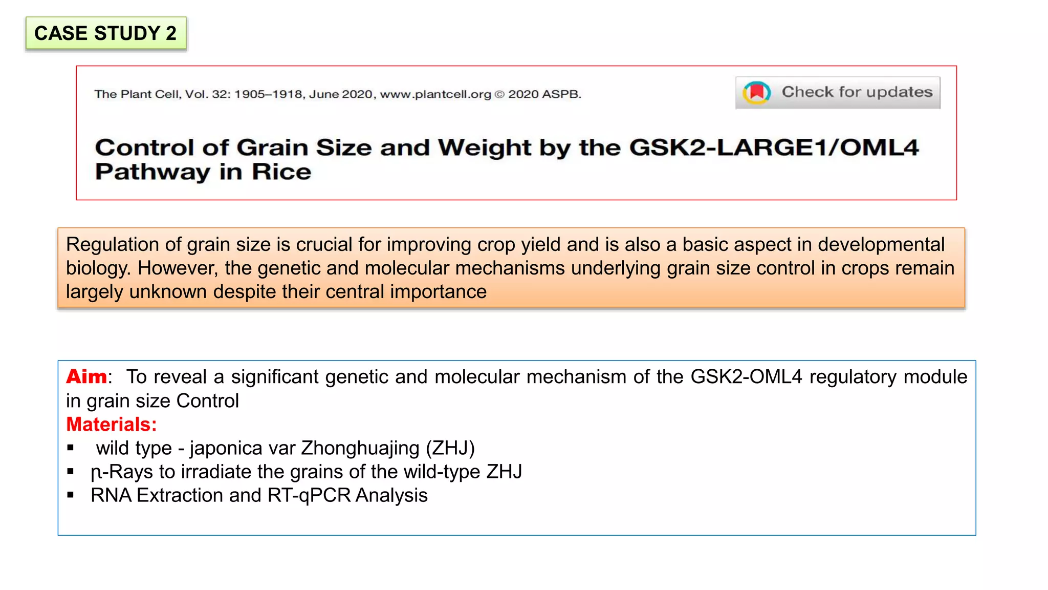 CASE STUDY 2
Regulation of grain size is crucial for improving crop yield and is also a basic aspect in developmental
biology. However, the genetic and molecular mechanisms underlying grain size control in crops remain
largely unknown despite their central importance
Aim: To reveal a significant genetic and molecular mechanism of the GSK2-OML4 regulatory module
in grain size Control
Materials:
 wild type - japonica var Zhonghuajing (ZHJ)
 ꞃ-Rays to irradiate the grains of the wild-type ZHJ
 RNA Extraction and RT-qPCR Analysis
 