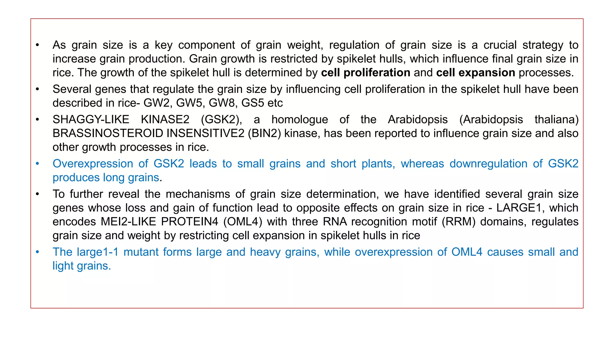 • As grain size is a key component of grain weight, regulation of grain size is a crucial strategy to
increase grain production. Grain growth is restricted by spikelet hulls, which influence final grain size in
rice. The growth of the spikelet hull is determined by cell proliferation and cell expansion processes.
• Several genes that regulate the grain size by influencing cell proliferation in the spikelet hull have been
described in rice- GW2, GW5, GW8, GS5 etc
• SHAGGY-LIKE KINASE2 (GSK2), a homologue of the Arabidopsis (Arabidopsis thaliana)
BRASSINOSTEROID INSENSITIVE2 (BIN2) kinase, has been reported to influence grain size and also
other growth processes in rice.
• Overexpression of GSK2 leads to small grains and short plants, whereas downregulation of GSK2
produces long grains.
• To further reveal the mechanisms of grain size determination, we have identified several grain size
genes whose loss and gain of function lead to opposite effects on grain size in rice - LARGE1, which
encodes MEI2-LIKE PROTEIN4 (OML4) with three RNA recognition motif (RRM) domains, regulates
grain size and weight by restricting cell expansion in spikelet hulls in rice
• The large1-1 mutant forms large and heavy grains, while overexpression of OML4 causes small and
light grains.
 