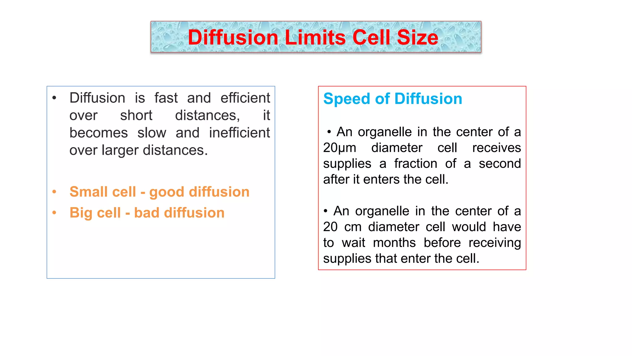 Diffusion Limits Cell Size
• Diffusion is fast and efficient
over short distances, it
becomes slow and inefficient
over larger distances.
• Small cell - good diffusion
• Big cell - bad diffusion
Speed of Diffusion
• An organelle in the center of a
20μm diameter cell receives
supplies a fraction of a second
after it enters the cell.
• An organelle in the center of a
20 cm diameter cell would have
to wait months before receiving
supplies that enter the cell.
 