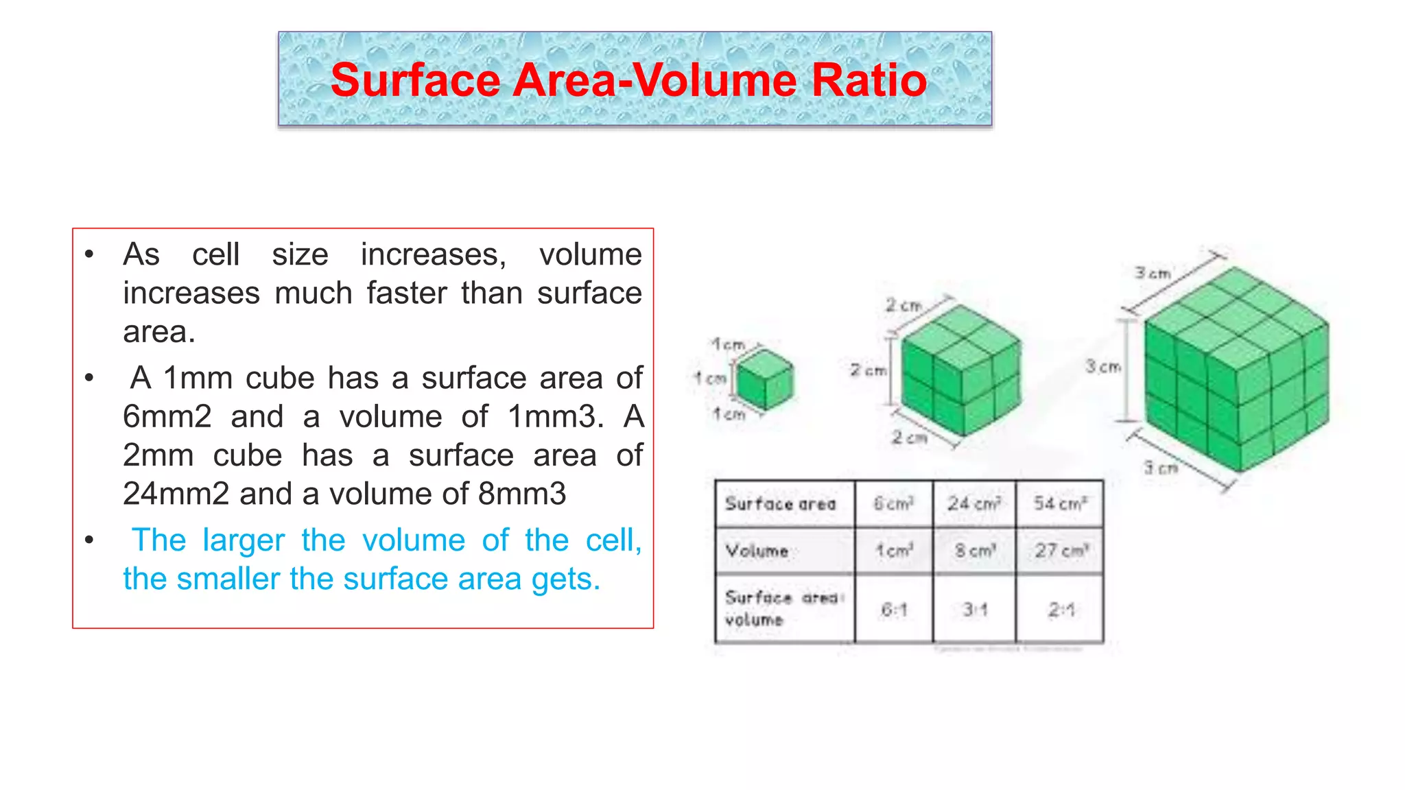 Surface Area-Volume Ratio
• As cell size increases, volume
increases much faster than surface
area.
• A 1mm cube has a surface area of
6mm2 and a volume of 1mm3. A
2mm cube has a surface area of
24mm2 and a volume of 8mm3
• The larger the volume of the cell,
the smaller the surface area gets.
 