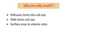 cell size control [Autosaved].pptx
