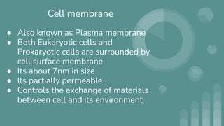 Cell membrane
● Also known as Plasma membrane
● Both Eukaryotic cells and
Prokaryotic cells are surrounded by
cell surface membrane
● Its about 7nm in size
● Its partially permeable
● Controls the exchange of materials
between cell and its environment
 