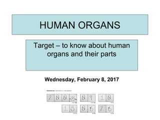 HUMAN ORGANS
Target – to know about human
organs and their parts
Wednesday, February 8, 2017
 
