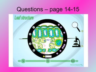 Questions – page 14-15
 