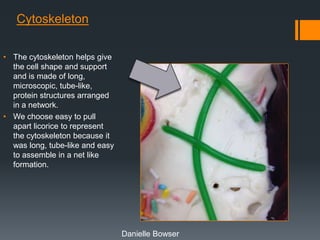 Cytoskeleton
• The cytoskeleton helps give
the cell shape and support
and is made of long,
microscopic, tube-like,
protein structures arranged
in a network.
• We choose easy to pull
apart licorice to represent
the cytoskeleton because it
was long, tube-like and easy
to assemble in a net like
formation.

Danielle Bowser

 
