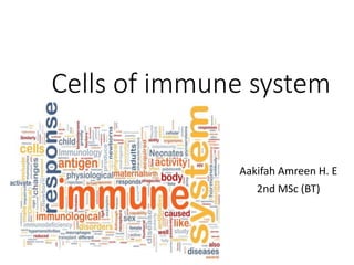 Cells of immune system
Aakifah Amreen H. E
2nd MSc (BT)
 