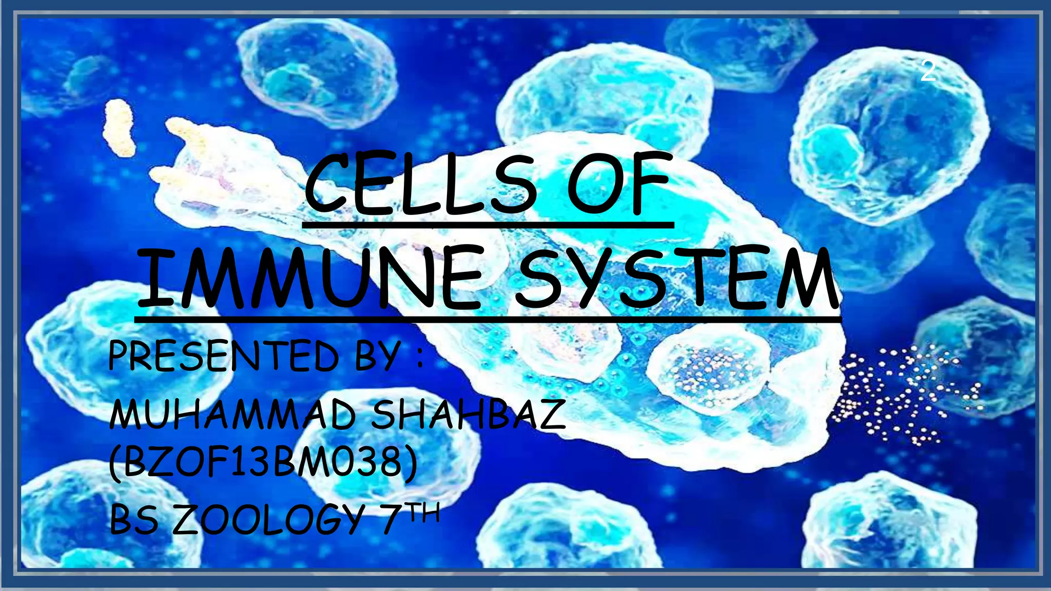Cells of immune system | PPT