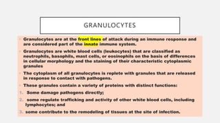 GRANULOCYTES
• Granulocytes are at the front lines of attack during an immune response and
are considered part of the innate immune system.
• Granulocytes are white blood cells (leukocytes) that are classified as
neutrophils, basophils, mast cells, or eosinophils on the basis of differences
in cellular morphology and the staining of their characteristic cytoplasmic
granules
• The cytoplasm of all granulocytes is replete with granules that are released
in response to contact with pathogens.
• These granules contain a variety of proteins with distinct functions:
1. Some damage pathogens directly;
2. some regulate trafficking and activity of other white blood cells, including
lymphocytes; and
3. some contribute to the remodeling of tissues at the site of infection.
 