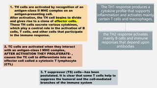3. T suppressor (TS) cells—has been
postulated. It is clear that some T cells help to
suppress the humoral and the cell-mediated
branches of the immune system
1. TH cells are activated by recognition of an
antigen–class II MHC complex on an
antigen-presenting cell.
After activation, the TH cell begins to divide
and gives rise to a clone of effector cells.
These TH cells secrete various cytokines,
which play a central role in the activation of B
cells, T cells, and other cells that participate
in the immune response.
The TH1 response produces a
cytokine profile that supports
inflammation and activates mainly
certain T cells and macrophages,
the TH2 response activates
mainly B cells and immune
responses that depend upon
antibodies
2. TC cells are activated when they interact
with an antigen–class I MHC complex,
AFTER ACTIVATION THEY PROLIFERATE- ,
causes the TC cell to differentiate into an
effector cell called a cytotoxic T lymphocyte
(CTL)
 