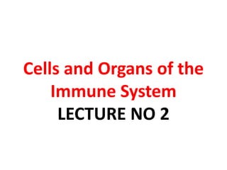 Cells and Organs of the
Immune System
LECTURE NO 2
 