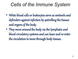 Comprehensive Overview of Immune System Cells and Hematopoiesis | PDF