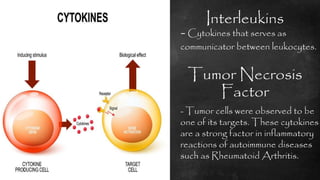 Cells of the immune system | PDF
