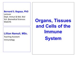 Bernard S. Bagaya, PhD
Lecturer
Dept. Immun & Mol. Biol
Sch. Biomedical Sciences
MakCHS Organs, Tissues
and Cells of the
Immune
System
Lillian Namuli, MSc.
Teaching Assistant
Immunology
 