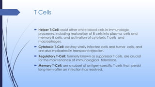 Cells of the Immune System (Sentinels of the Body's Defense) | PPTX