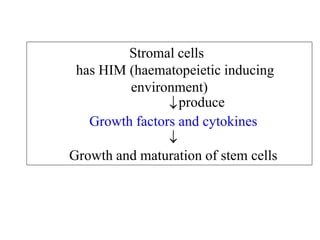 Cells of the immune system | PDF