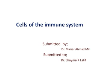 Cells of the immune system
Submitted by;
Dr. Maisar Ahmad Mir
Submitted to;
Dr. Shayma K Latif
 