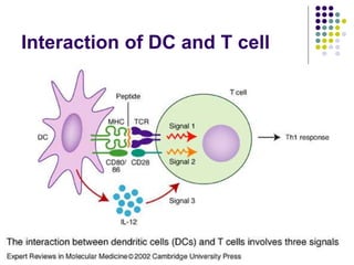 CELLS OF THE IMMUNE SYSTEM SAS 2021 RR [Autosaved].ppt
