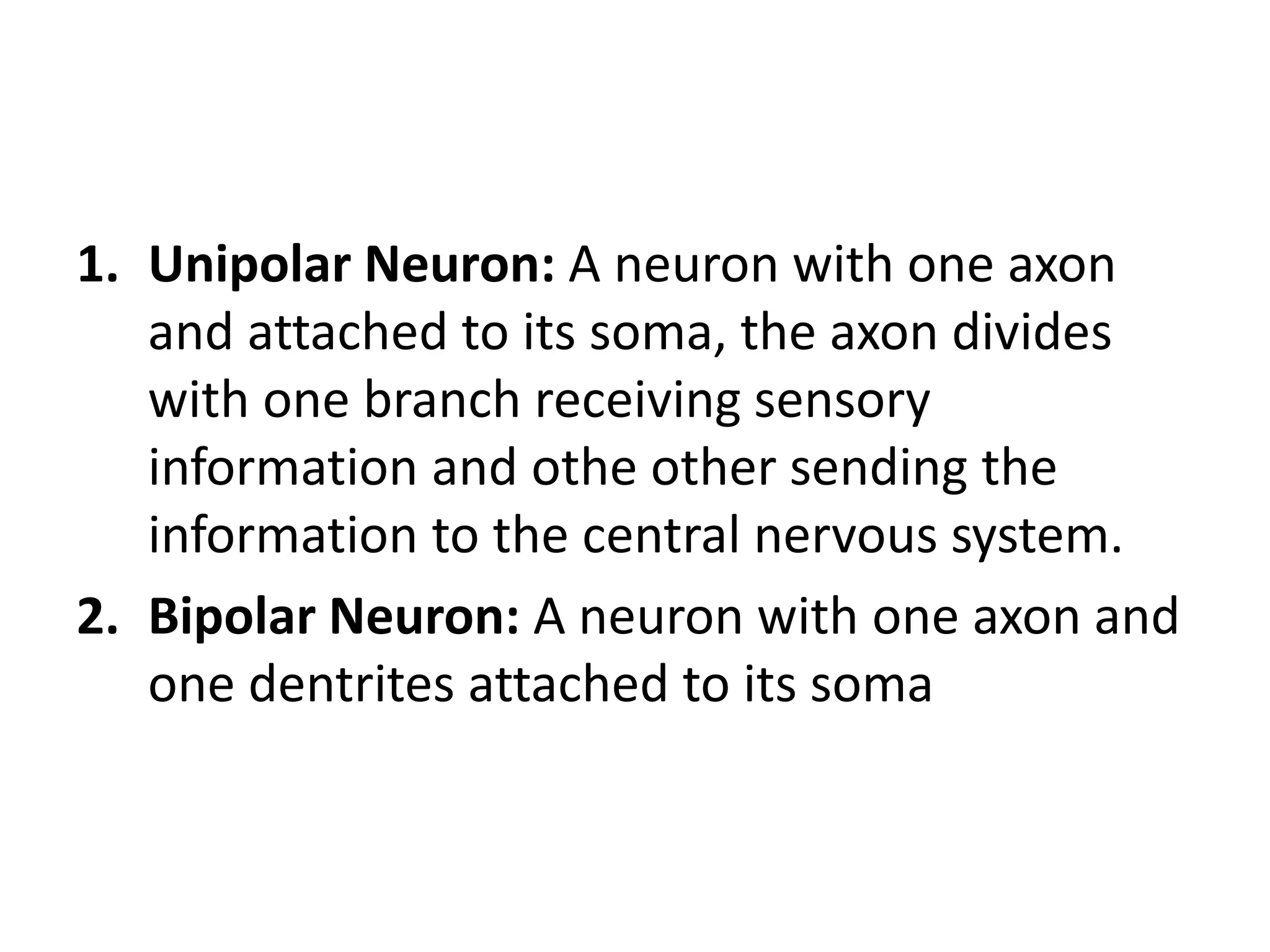 1. Unipolar Neuron: A neuron with one axon
and attached to its soma, the axon divides
with one branch receiving sensory
information and othe other sending the
information to the central nervous system.
2. Bipolar Neuron: A neuron with one axon and
one dentrites attached to its soma
 