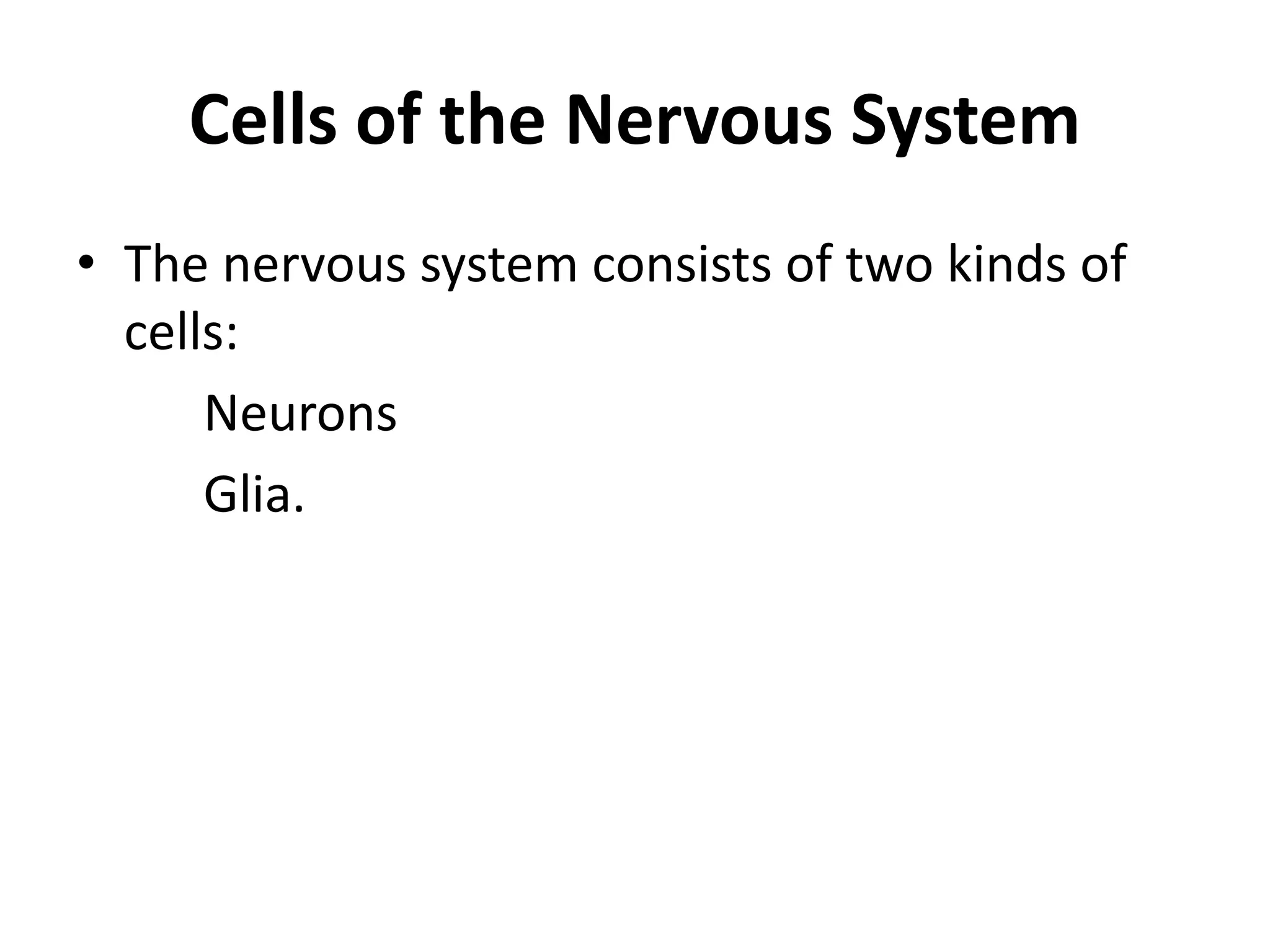 Cells of the Nervous System
• The nervous system consists of two kinds of
cells:
Neurons
Glia.
 