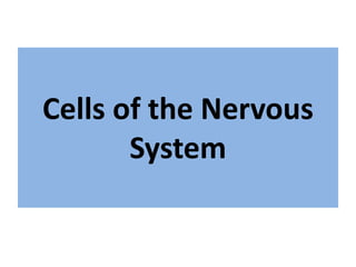 Cells of the Nervous
System
 