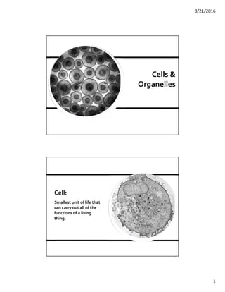 3/21/2016
1
Cells &
Organelles
Cell:
Smallest unit of life that
can carry out all of the
functions of a living
thing.
 