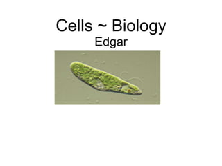 Cells ~ Biology Edgar 