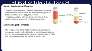 Gradient Isolation Cells, Organs and Tissues Presentation_20260316_004716_0000.pdf