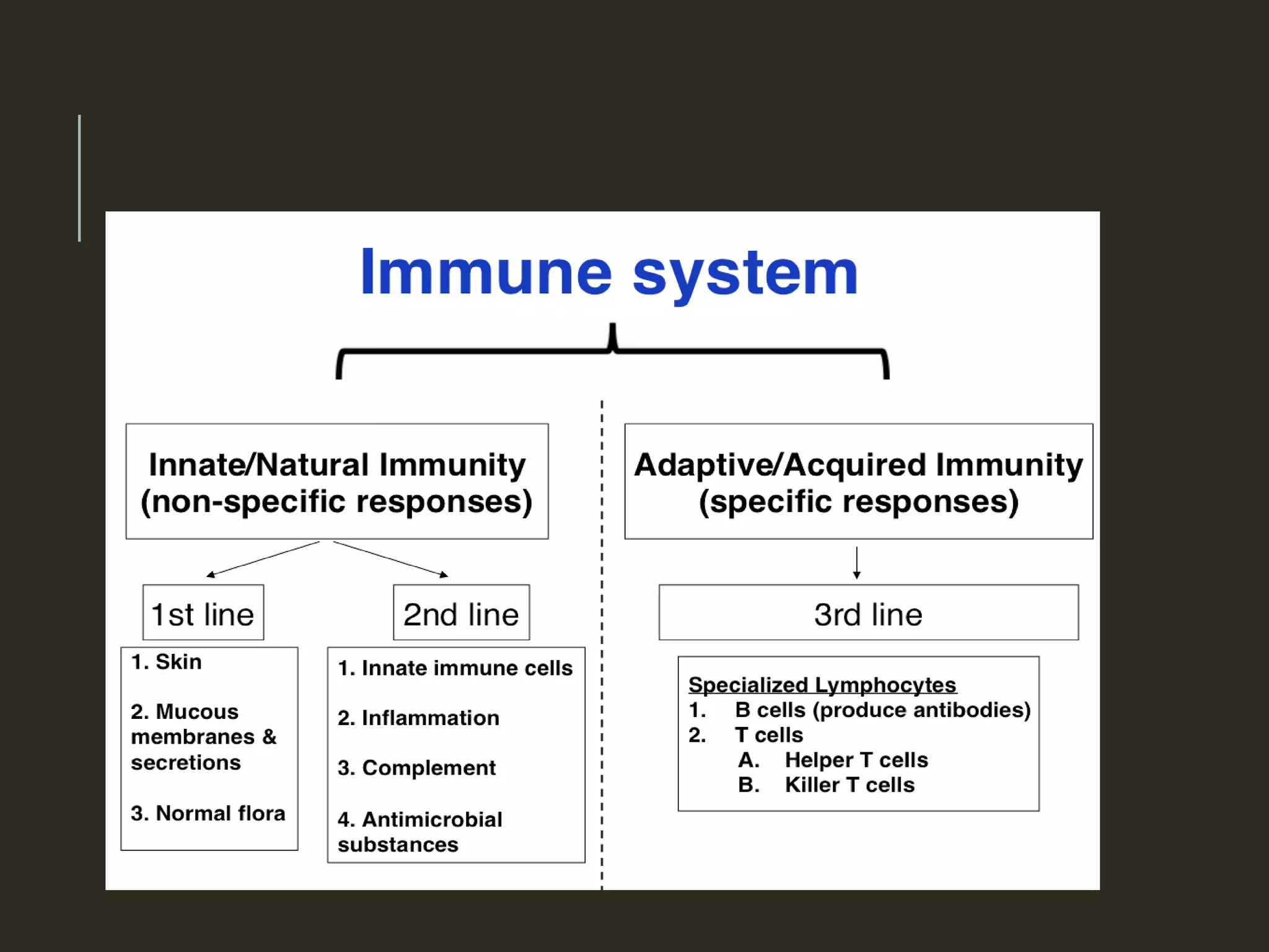 Cells & organs of immune system | PPT