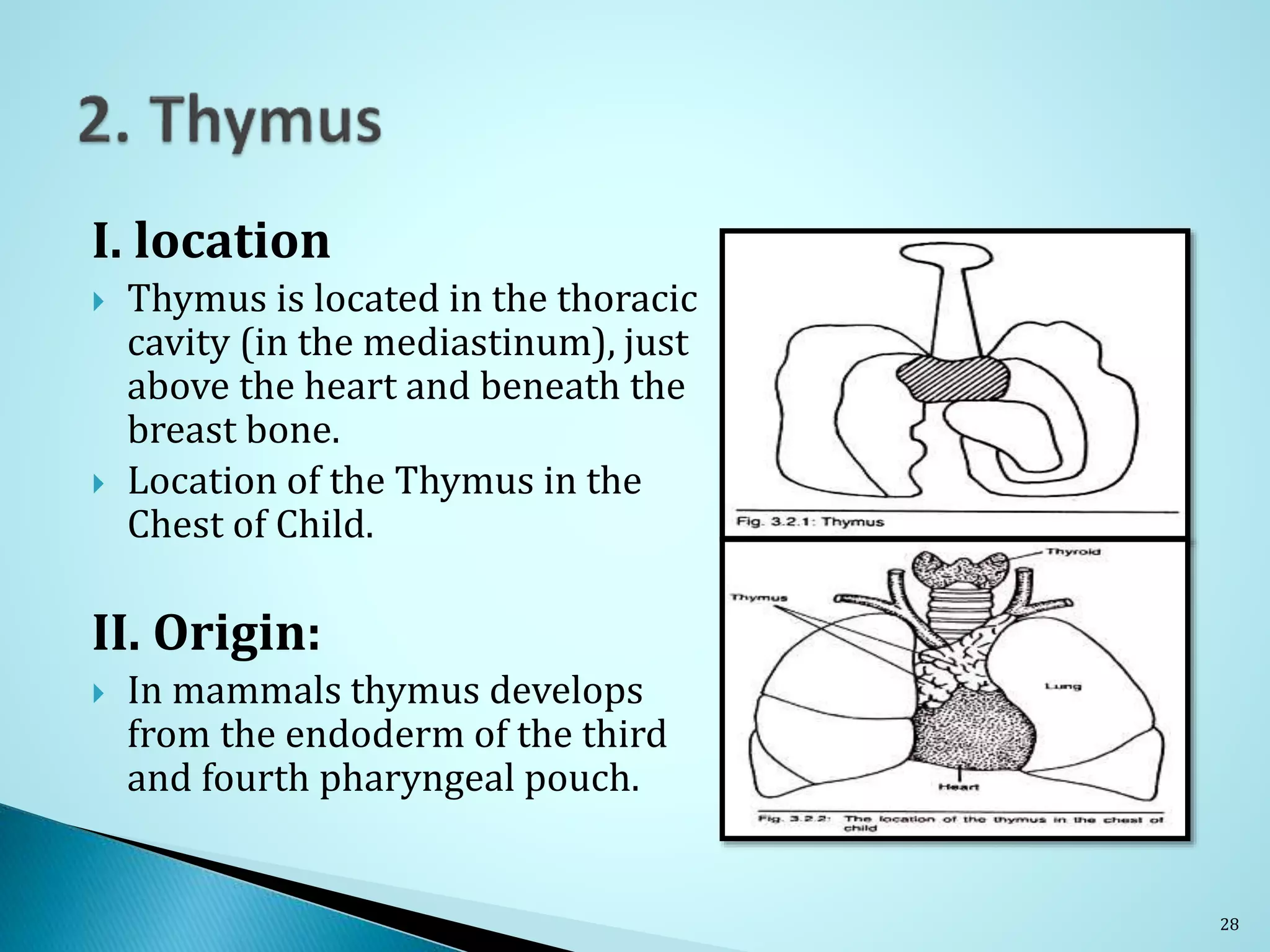 Cells & organs of immune system | PPTX