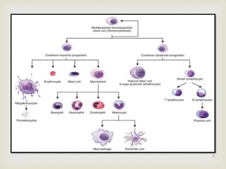 Cells & organs of immune system | PPTX
