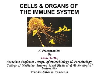 CELLS & ORGANS OF  THE IMMUNE SYSTEM A Presentation  By Isaac U.M., Associate Professor , Dept. of Microbiology & Parasitology, College of Medicine, International Medical & Technological University, Dar-Es-Salaam, Tanzania 