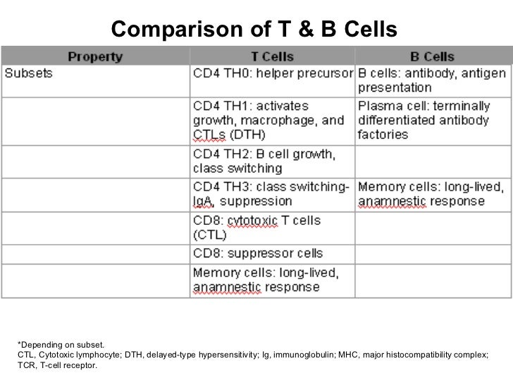 killers only difference between t and b cells