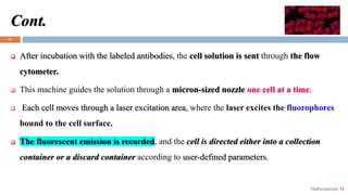 Cell Sorting Techniques | PPTX