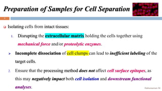 Cell Sorting Techniques | PPTX