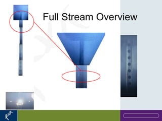 Cell Sorting _Flow Cytometry | PPS