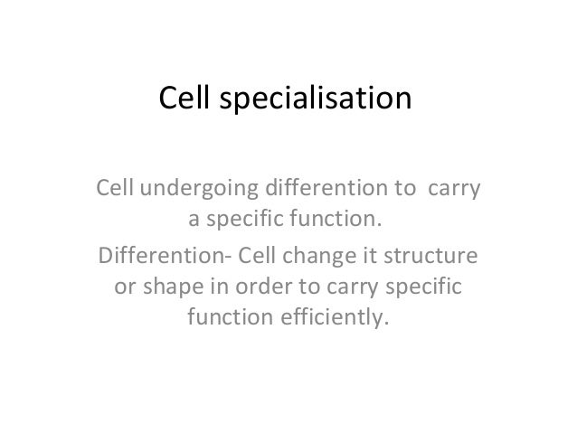 cell specialization definition
